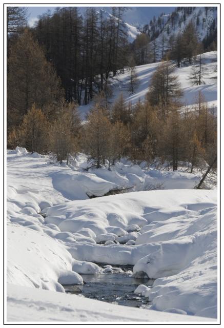08_Le Queyras-Route du col Aniel.jpg